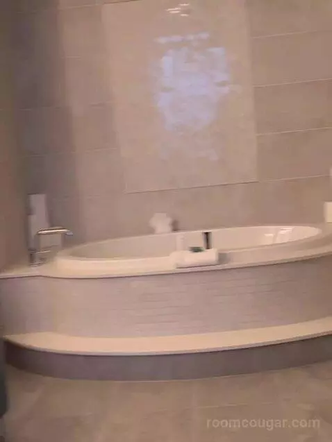 New Renovated Waterfront Tower Modern Suite King bathroom picture #2