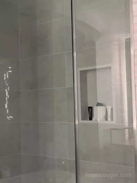 New Renovated Waterfront Tower Modern Suite King bathroom picture #3