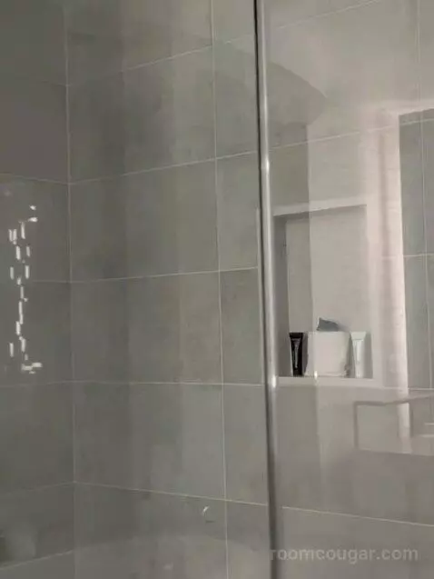 New Renovated Waterfront Tower Modern Suite King bathroom picture #4
