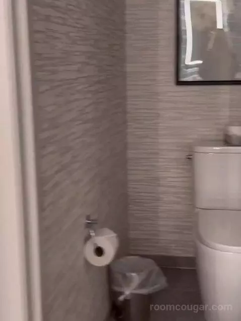 New Renovated Waterfront Tower Modern Suite King bathroom picture #5