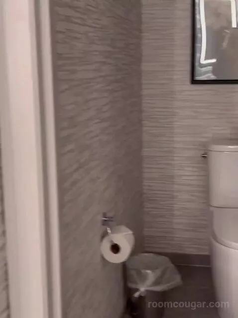 New Renovated Waterfront Tower Modern Suite King bathroom picture #6