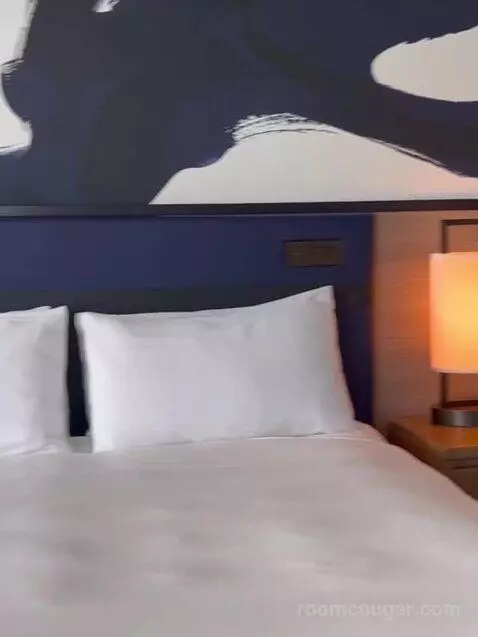 Nobu Premium King Panoramic View bed picture #7