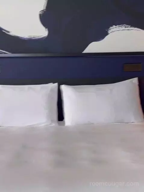 Nobu Premium King Panoramic View bed picture #10