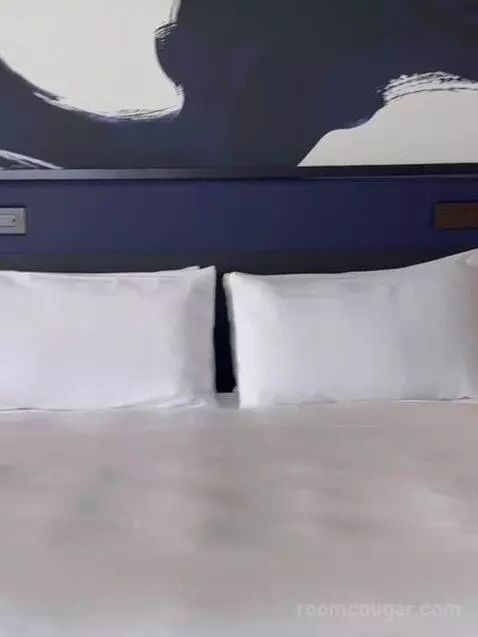 Nobu Premium King Panoramic View bed picture #11