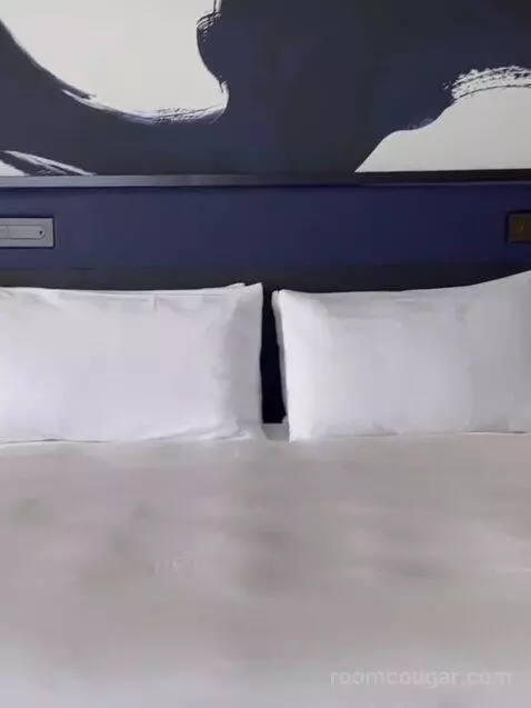 Nobu Premium King Panoramic View bed picture #12
