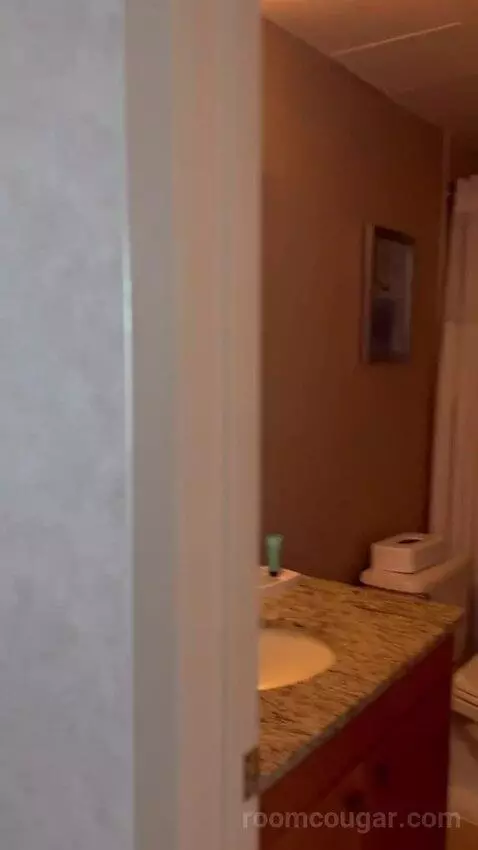 Deluxe Studio with Two Double Beds (#2809) bathroom picture #3