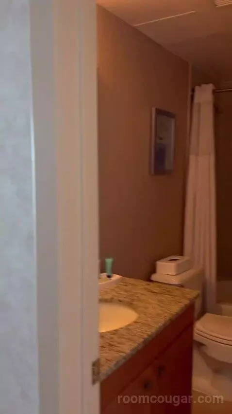 Deluxe Studio with Two Double Beds (#2809) bathroom picture #4