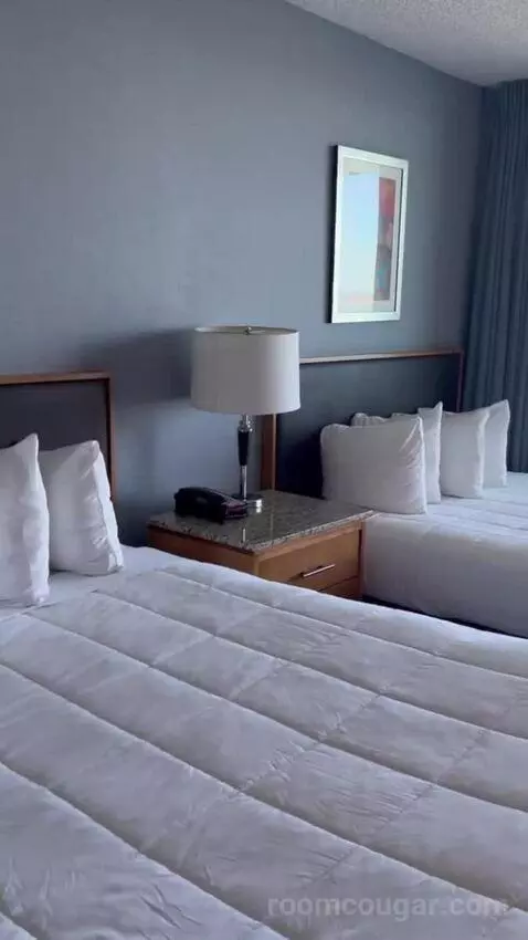 Deluxe Studio with Two Double Beds (#2809) bed picture #12