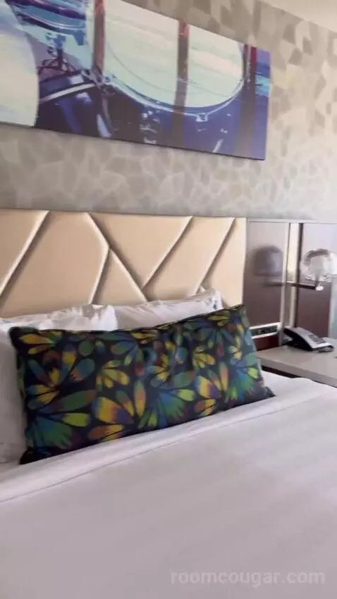 South Tower Classic King bed picture #7