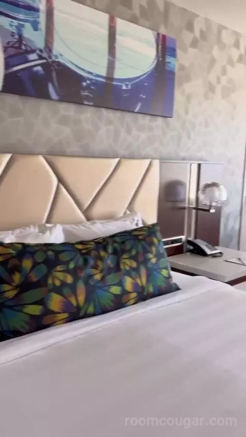 South Tower Classic King bed picture #8