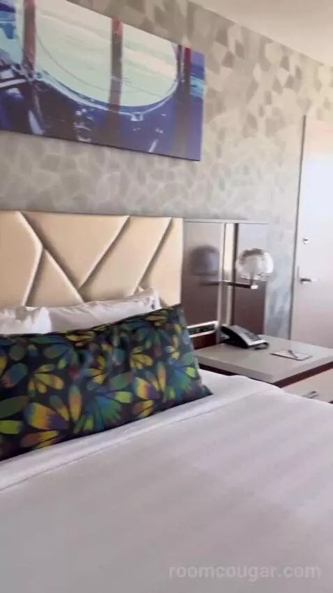 South Tower Classic King bed picture #9