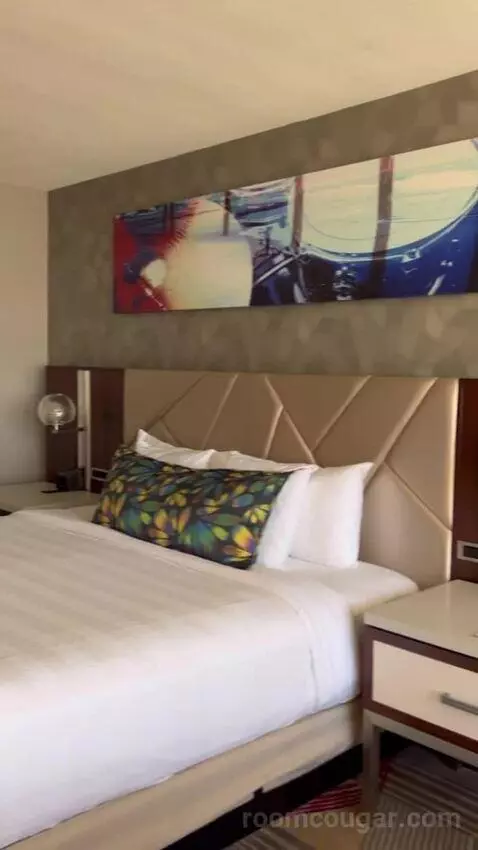 South Tower Classic King bed picture #12