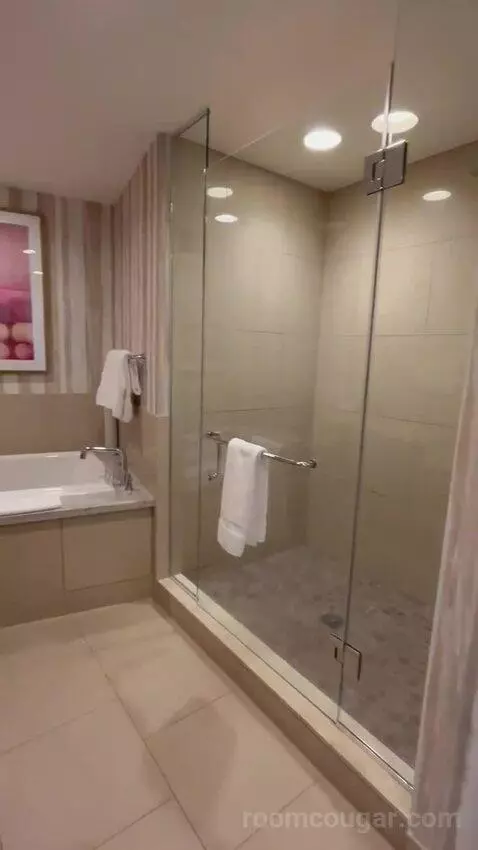 North Tower Celebrity Suite (#3557) bathroom picture #8