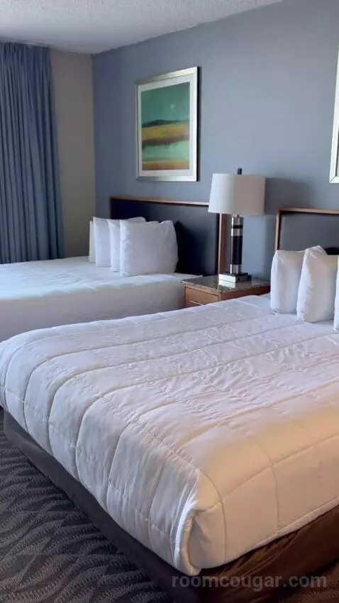 Deluxe Studio with Two Double Beds (#2718) bed picture #1
