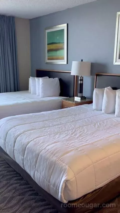Deluxe Studio with Two Double Beds (#2718) bed picture #2