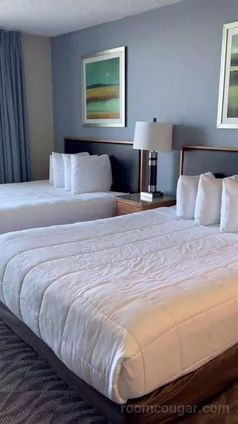 Deluxe Studio with Two Double Beds (#2718) bed picture #3