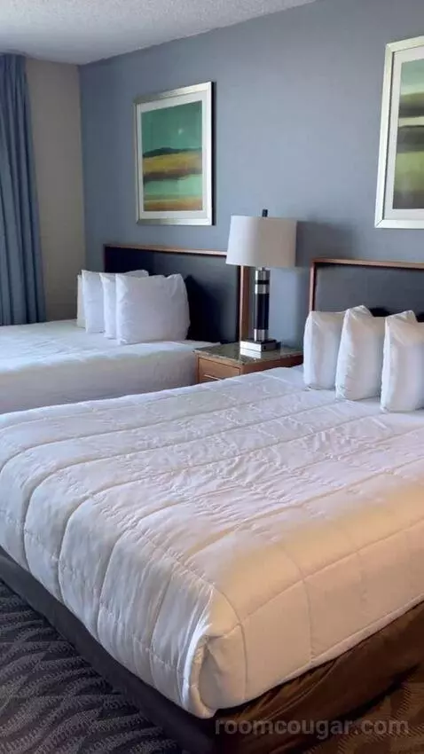 Deluxe Studio with Two Double Beds (#2718) bed picture #4