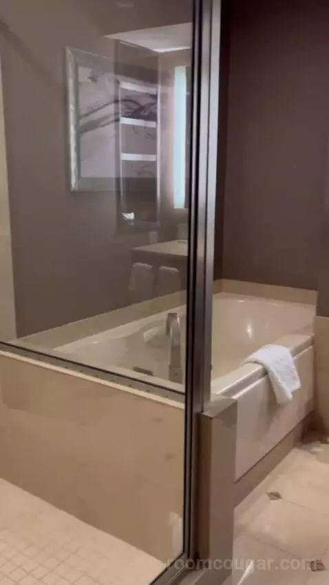 Bayview Tower Suite King (#21063) bathroom picture #1