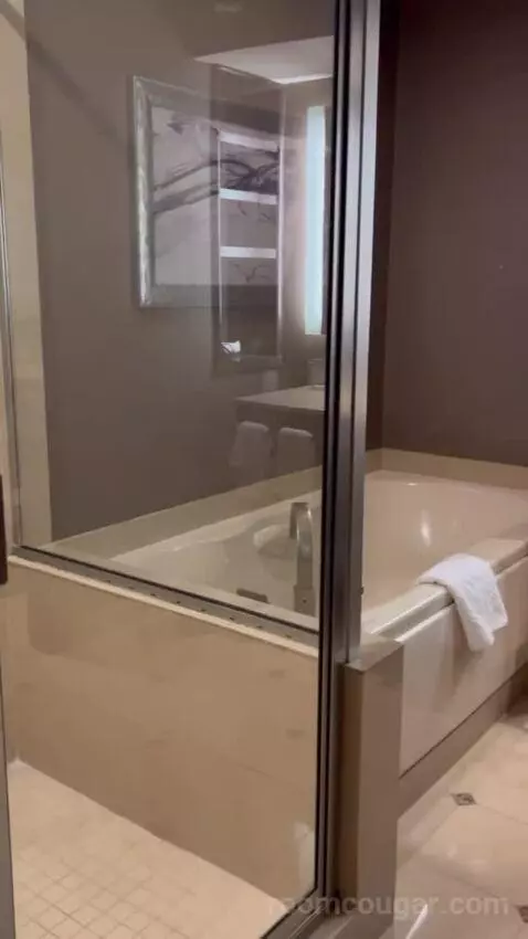 Bayview Tower Suite King (#21063) bathroom picture #2
