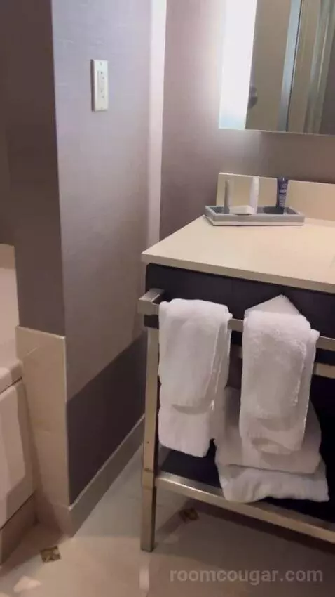 Bayview Tower Suite King (#21063) bathroom picture #5