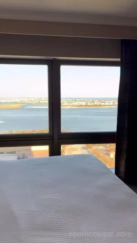 Suite view picture #1