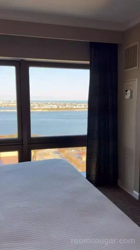Suite view picture #4