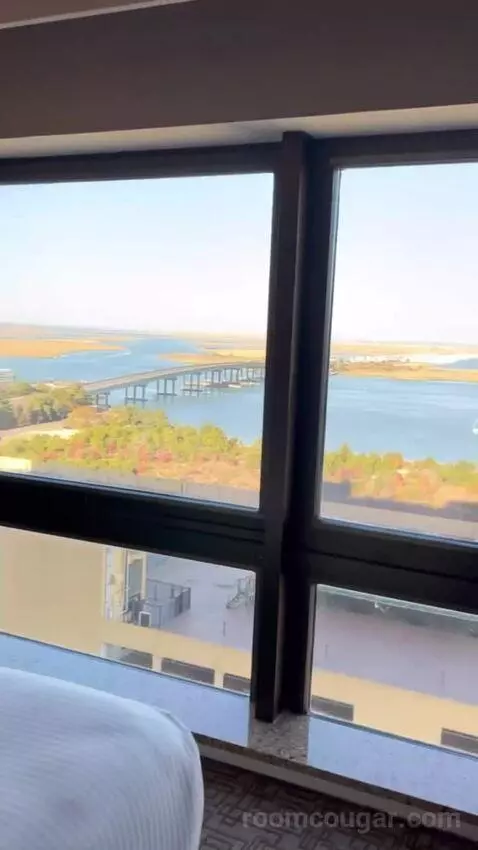 Suite view picture #9