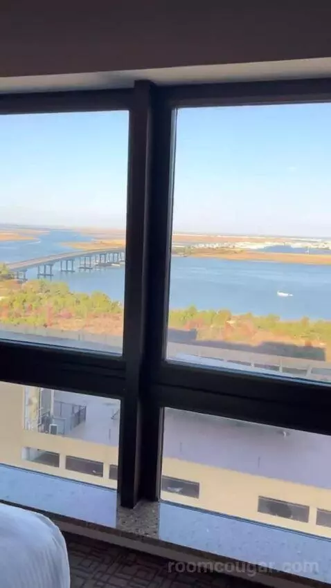 Suite view picture #11