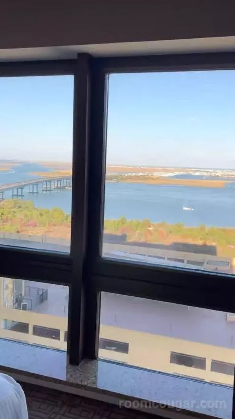 Suite view picture #12