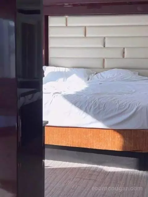 Superior Plus King Studio with Sofa Bed bed picture #4