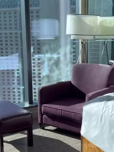 Superior Plus King Studio with Sofa Bed bed picture #7