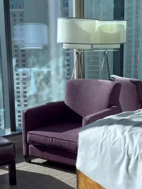 Superior Plus King Studio with Sofa Bed bed picture #8
