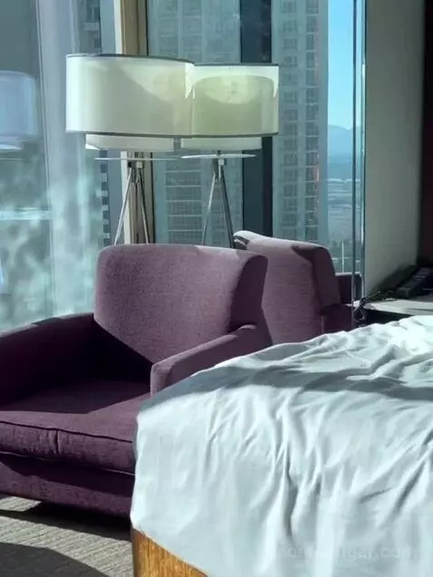 Superior Plus King Studio with Sofa Bed bed picture #9