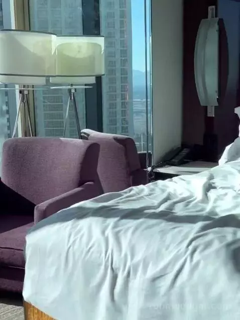 Superior Plus King Studio with Sofa Bed bed picture #10