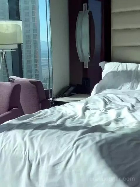 Superior Plus King Studio with Sofa Bed bed picture #11