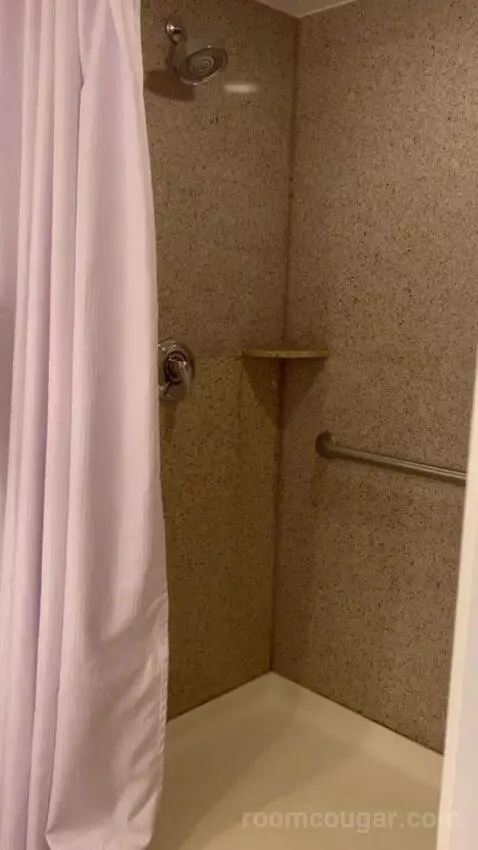 One-Bedroom Suite (F) (#421) bathroom picture #5
