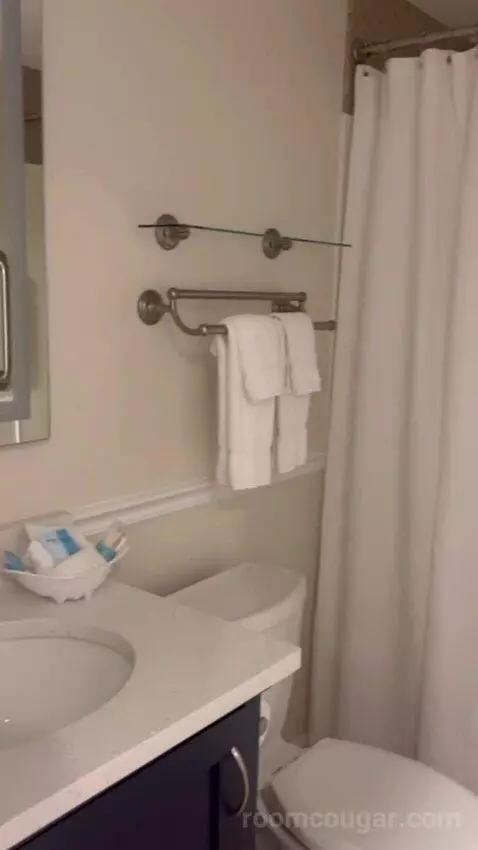 One-Bedroom Suite (F) (#421) bathroom picture #3