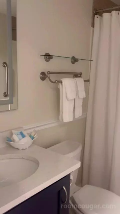 One-Bedroom Suite (F) (#421) bathroom picture #4
