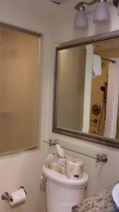 One-Bedroom Suite (#27) bathroom picture #3