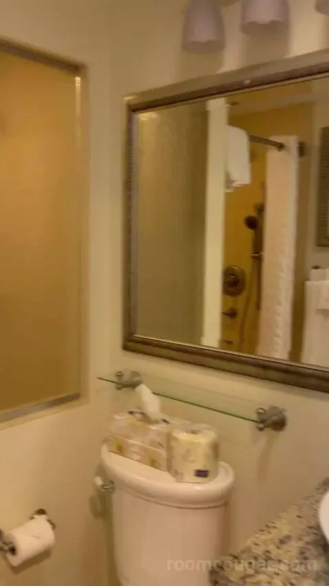 One-Bedroom Suite (#27) bathroom picture #4