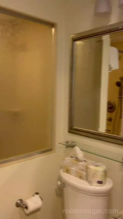 One-Bedroom Suite (#27) bathroom picture #6
