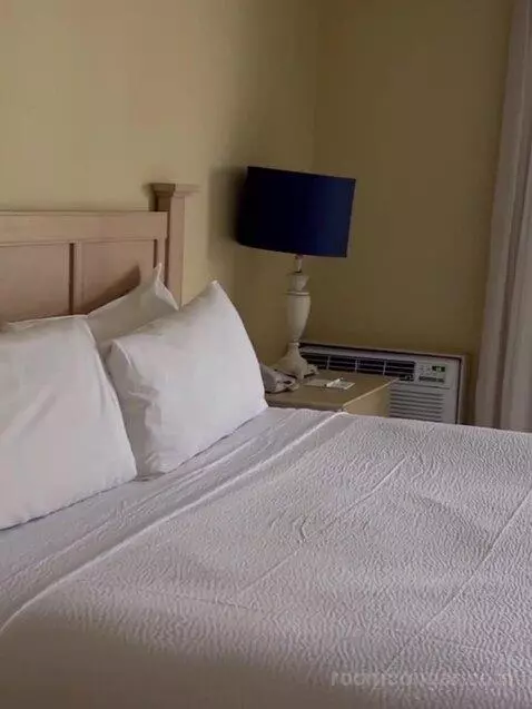 Suite bed picture #7
