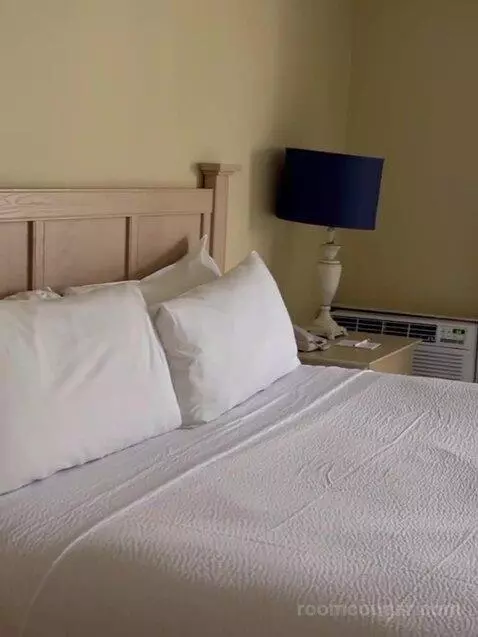 Suite bed picture #9