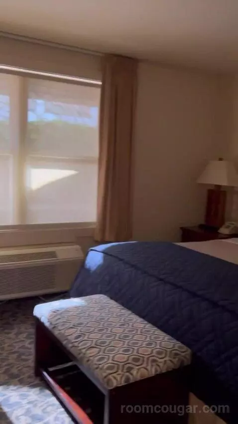 Suite (#15) bed picture #11