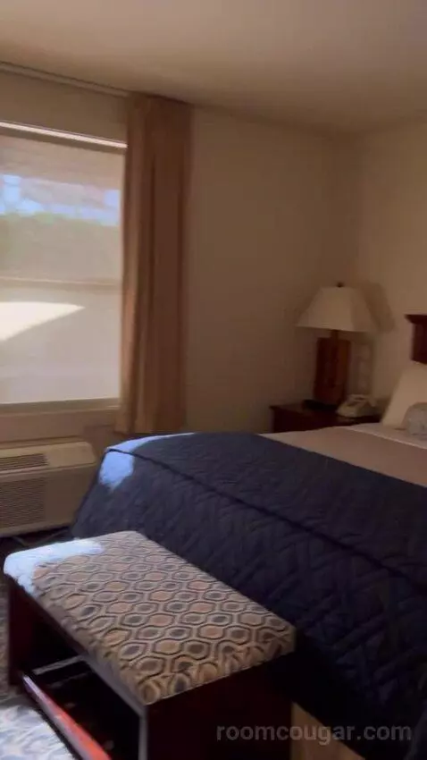 Suite (#15) bed picture #12
