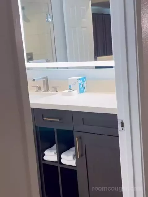 One-Bedroom Suite bathroom picture #9