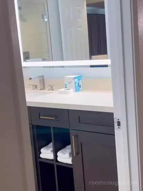 One-Bedroom Suite bathroom picture #10