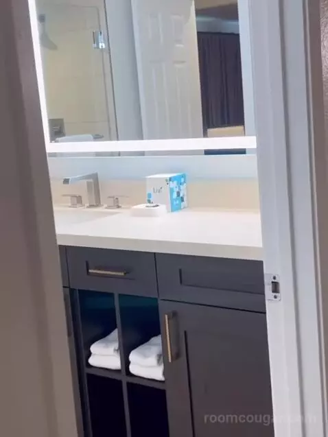 One-Bedroom Suite bathroom picture #11