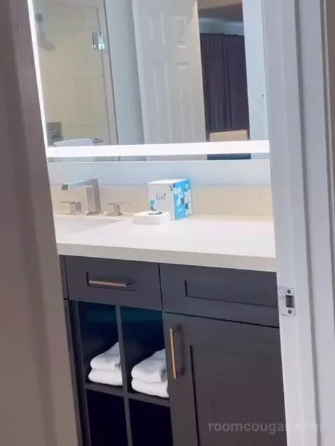 One-Bedroom Suite bathroom picture #12