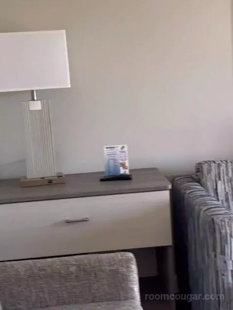 Suite (Catagory E) picture #13